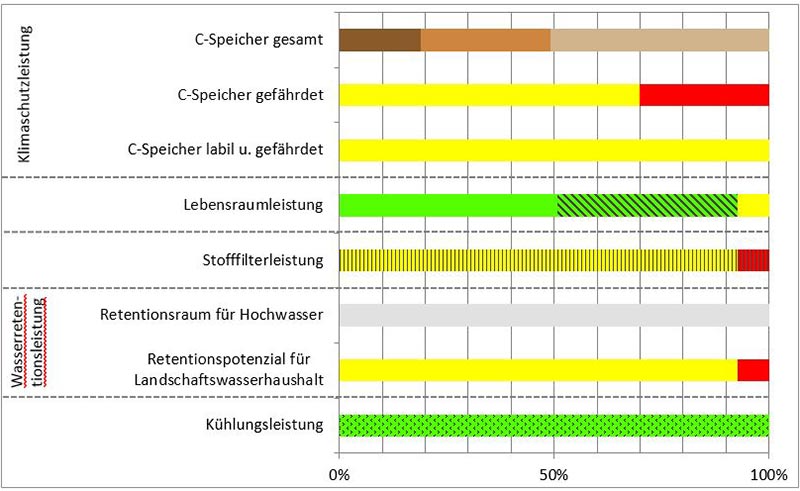 Schema