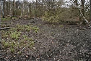 Bild von Kleingew&auml;sser
