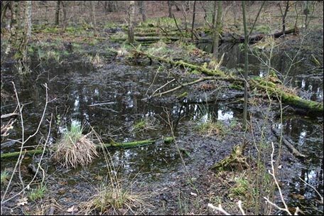 Bild von &Uuml;berstau