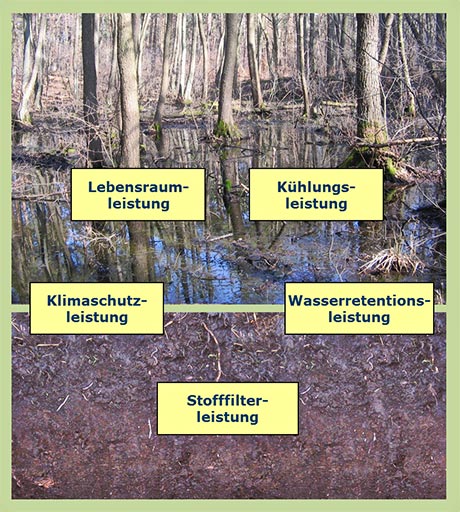Abbildung &Ouml;kosystemleistungen