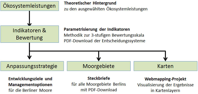 Bild zur Projekt-&Uuml;bersicht